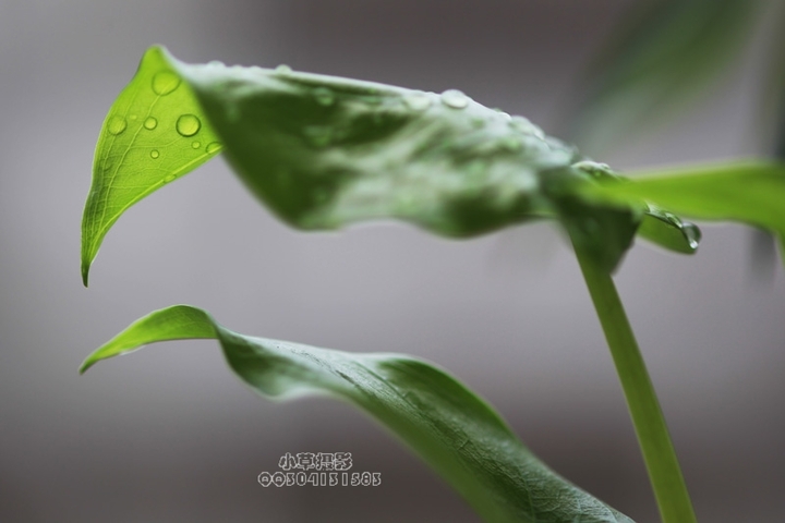 飨˾΢֮