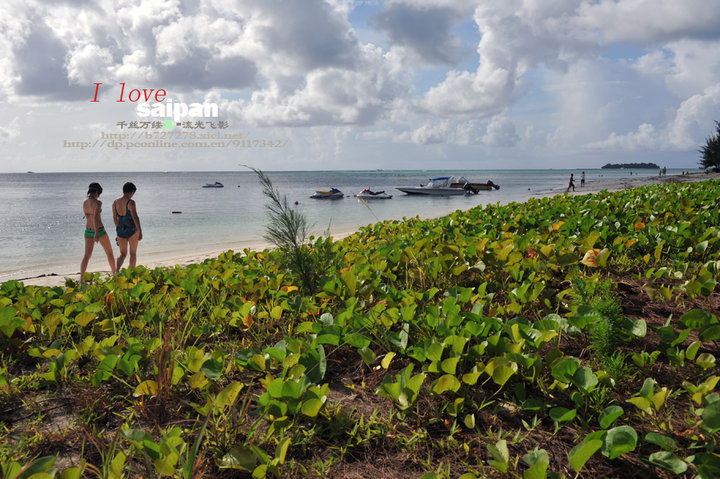 I LOVE SAIPAN 2011ൺ֮--⣨һ