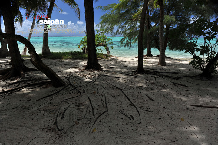 I LOVE SAIPAN 2011ൺ֮--⣨һ