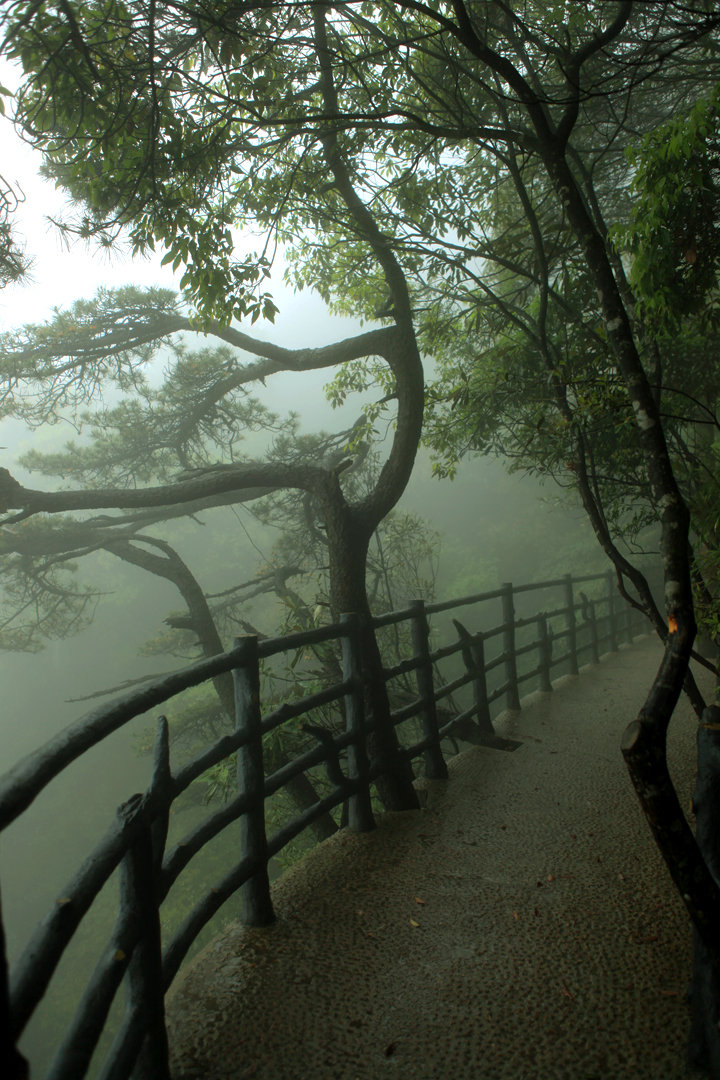 山中雨景图片