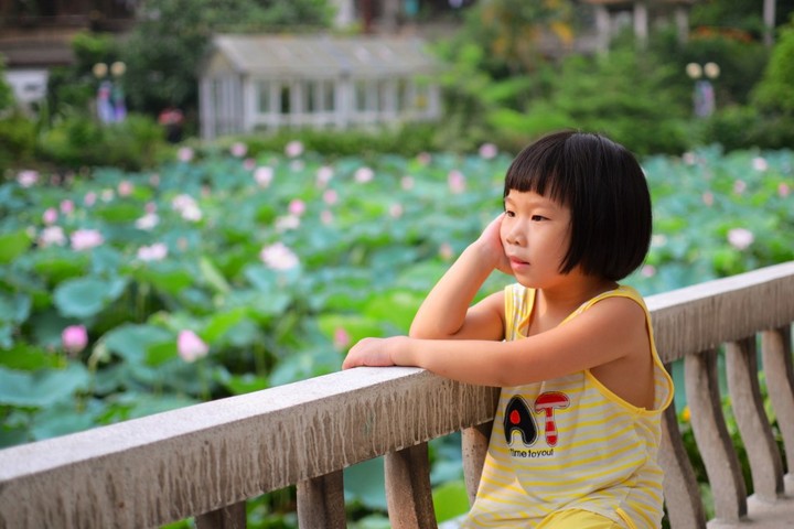 憧憬