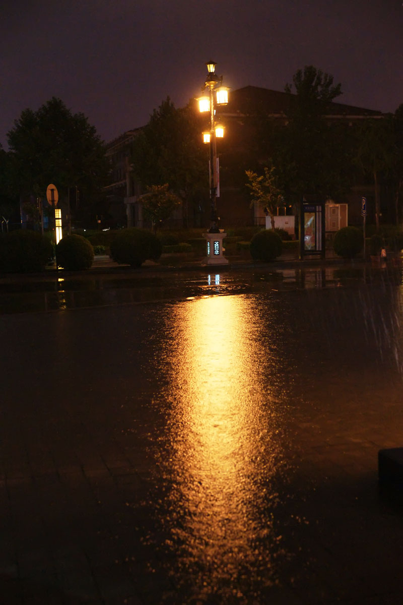 雨中夜景唯美图片