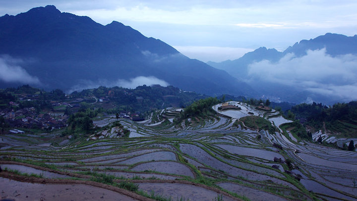 雲和梯田