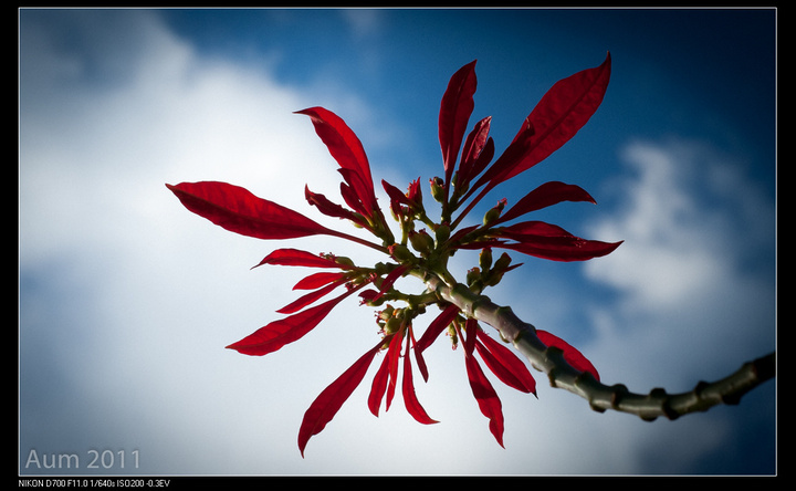 Photoshop LightRoom 3.3 