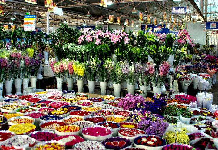 昆明鲜花交易市场(昆明鲜花交易市场官网)