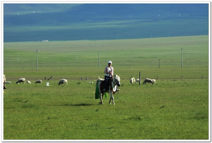 ңԶĵط--ຣӰ(Qinghai Province)