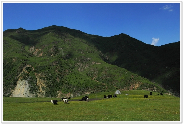 ңԶĵط--ຣӰ(Qinghai Province)