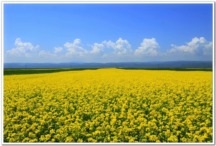 ңԶĵط--ຣӰ(Qinghai Province)