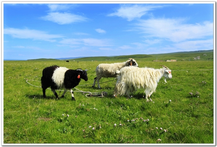 ңԶĵط--ຣӰ(Qinghai Province)