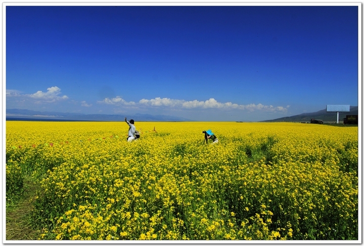 ңԶĵط--ຣӰ(Qinghai Province)