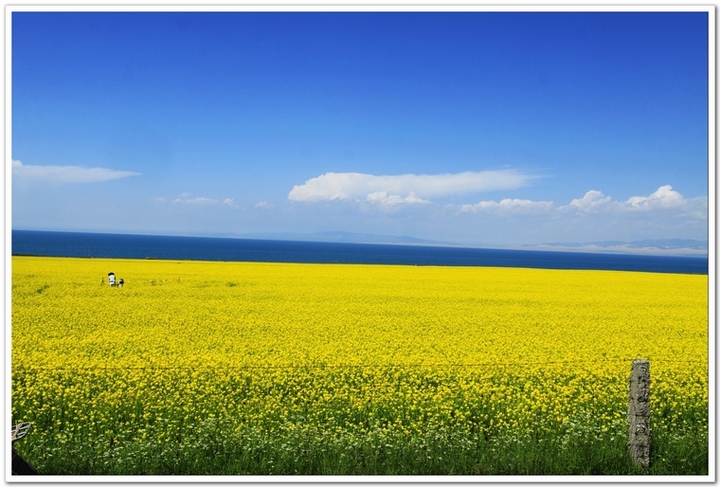 ңԶĵط--ຣӰ(Qinghai Province)