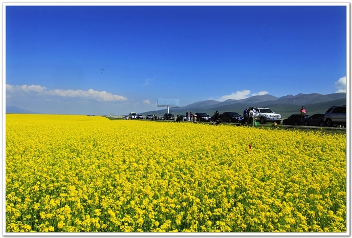 ңԶĵط--ຣӰ(Qinghai Province)