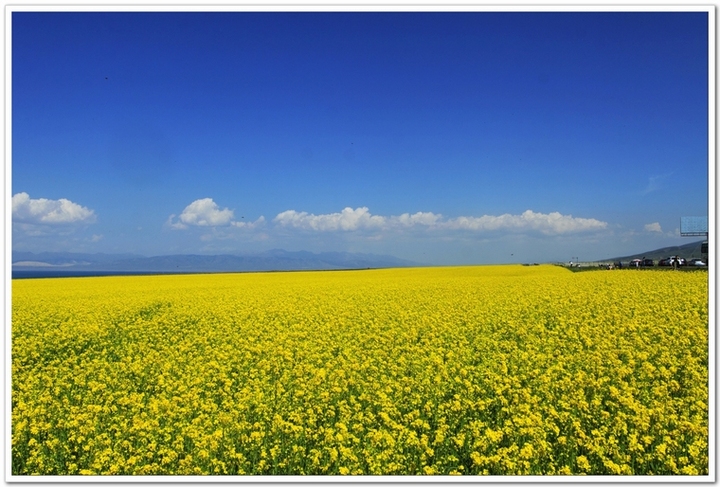 ңԶĵط--ຣӰ(Qinghai Province)