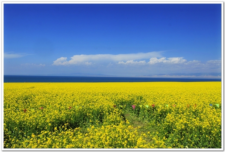 ңԶĵط--ຣӰ(Qinghai Province)