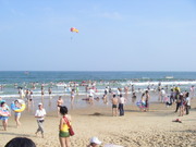 ֮