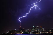 ׶׵ Toronto Lightning