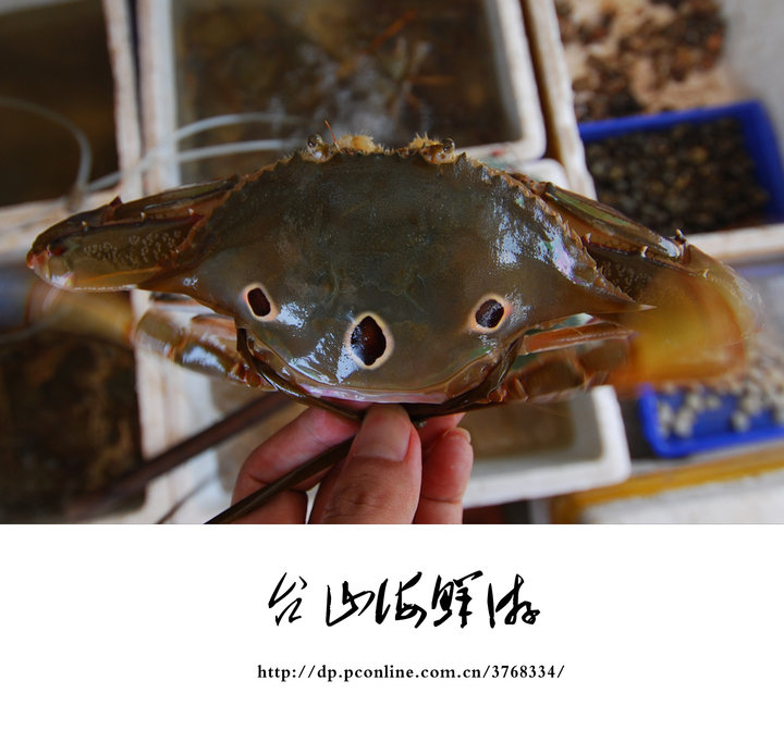 ̨ɽǴ庣