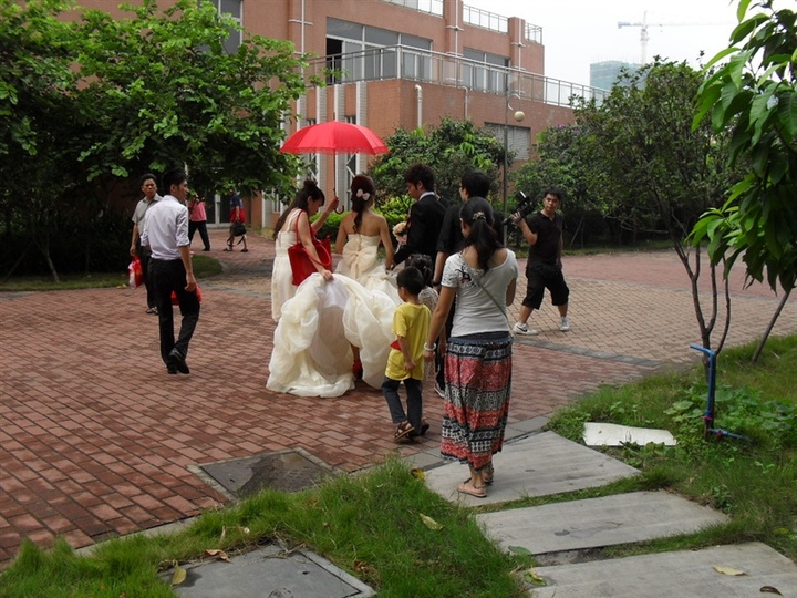 A Wedding    