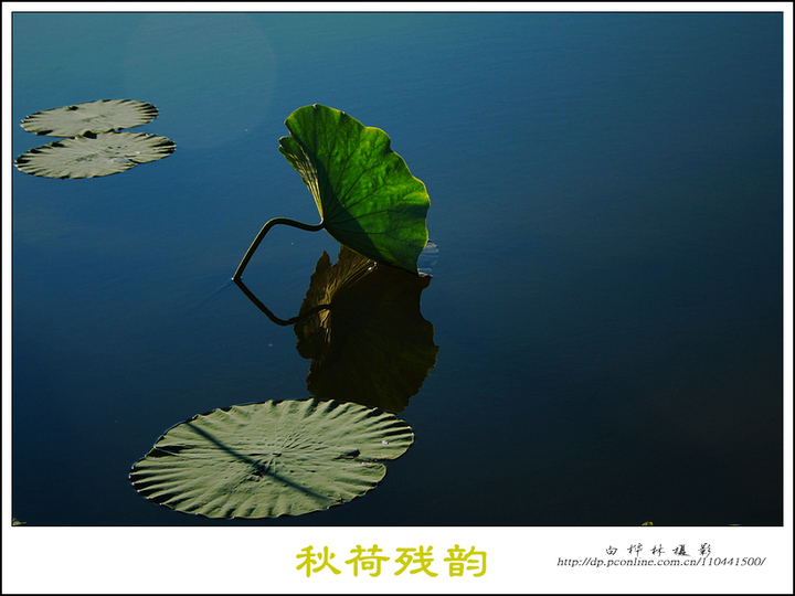 ɲ-Ҷ