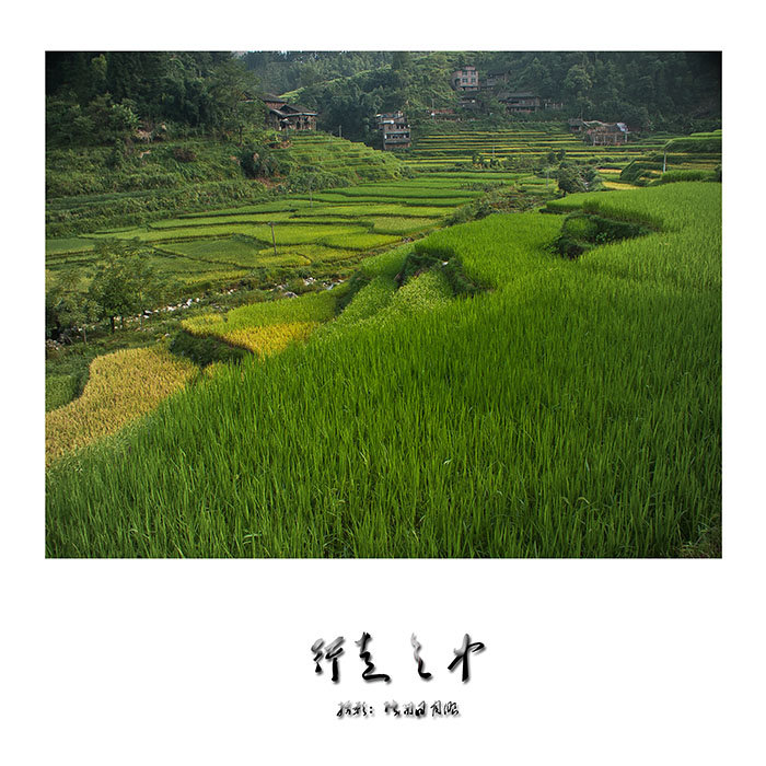 ֮