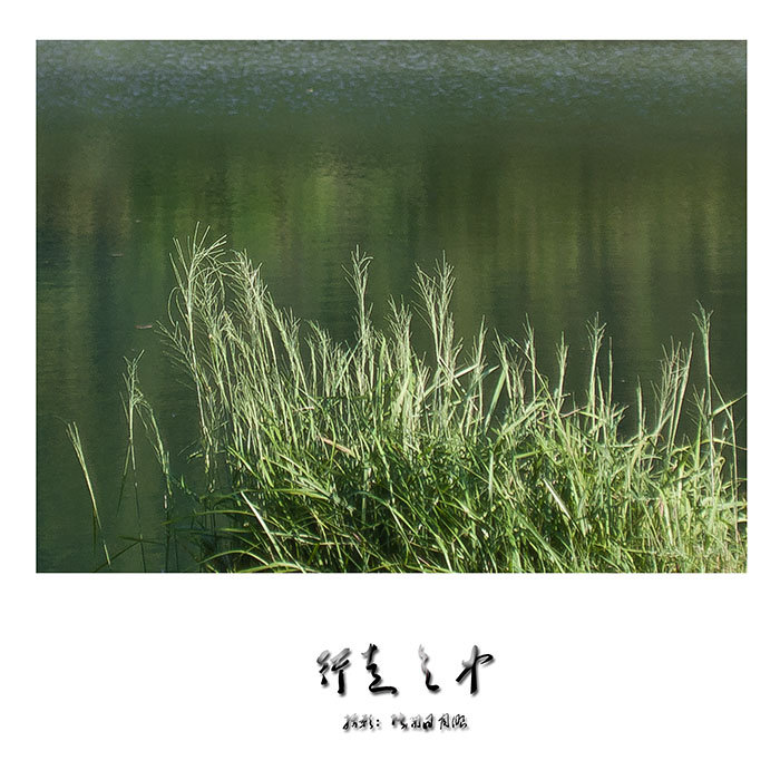 ֮