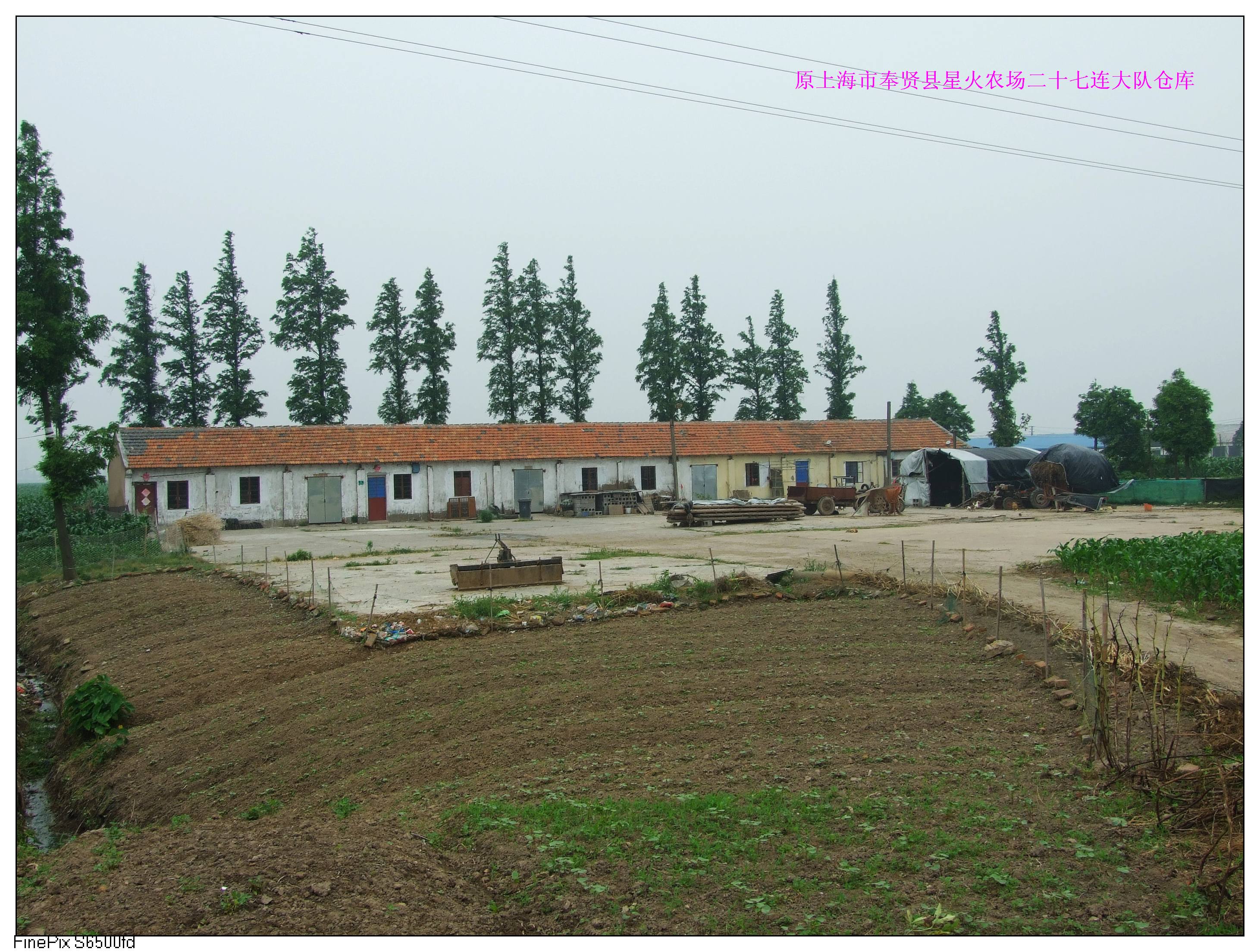 上海星火农场图片