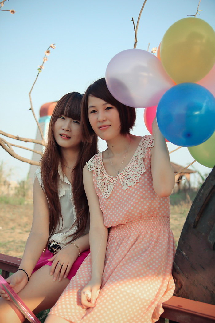 2011ɳ