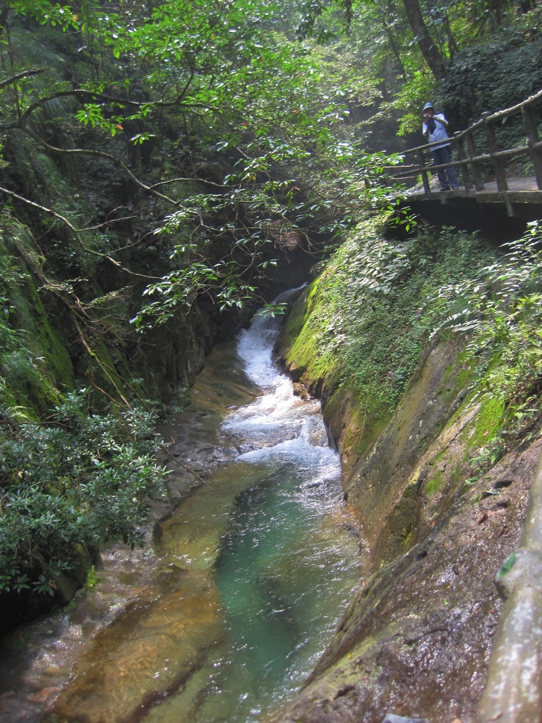 永川山水林涧图片