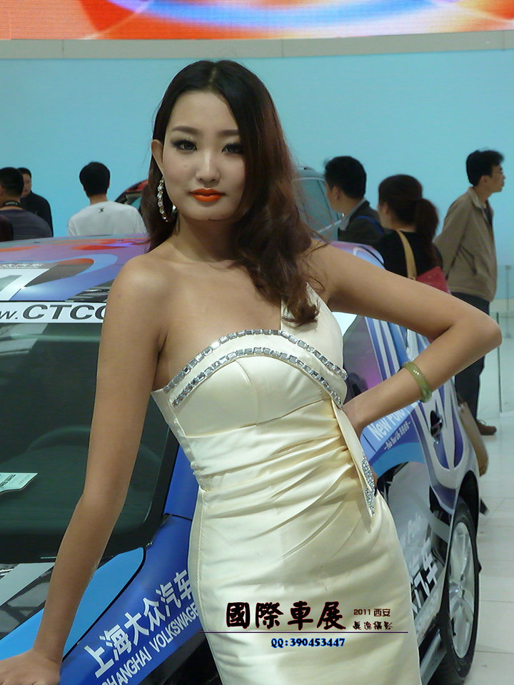 2011ʳչ