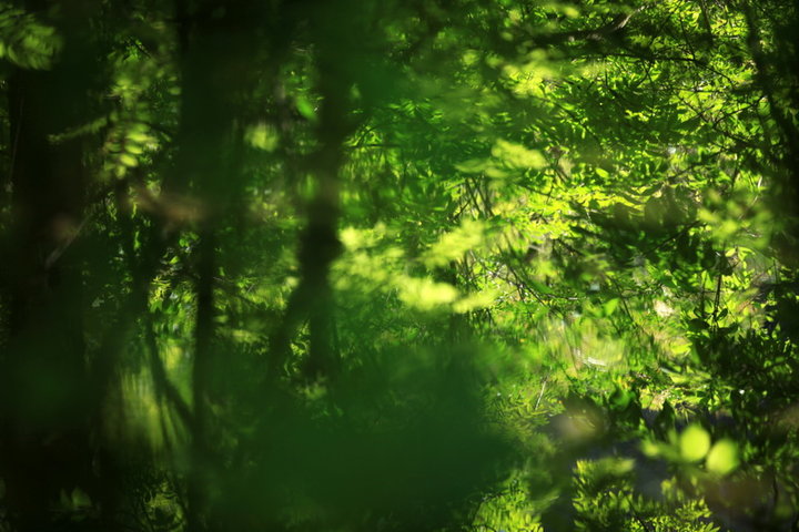 ϵ֮-ͯ-կ