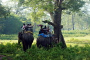 印象尼泊尔—骑大象游森林公园