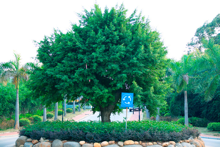 Ȫ