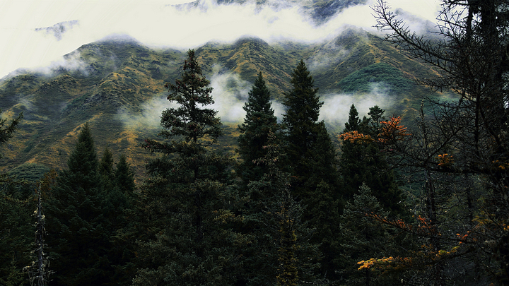 կԶɽ