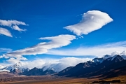 2011ǧв26--շ