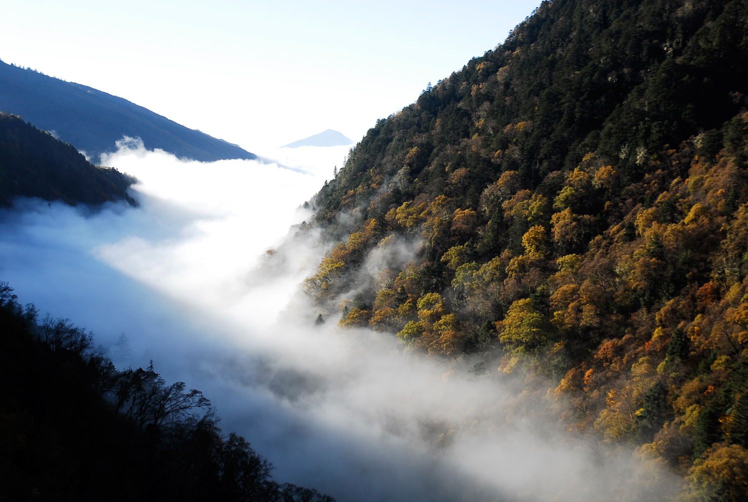 【夹金山云河摄影图片】四川雅安宝兴县风光摄影