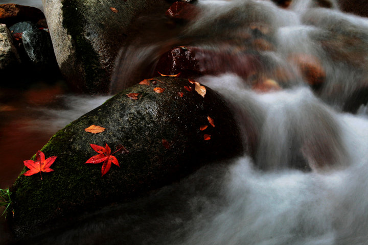 ɽ⡤ˮϣ2011.10