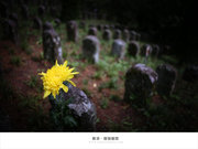 《腾冲·国殇墓园》