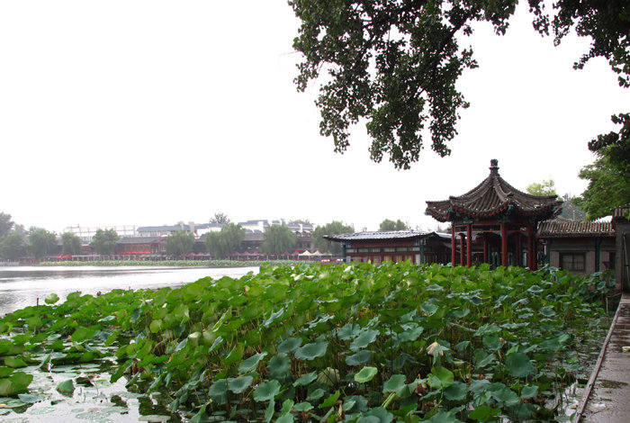 和風細雨什剎海