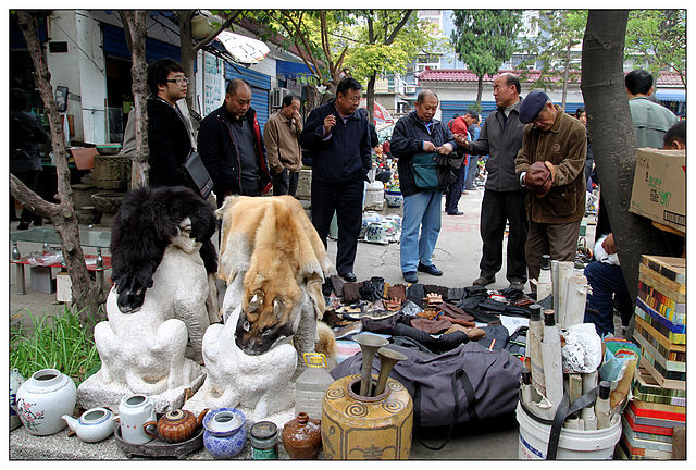 温州古玩市场图片