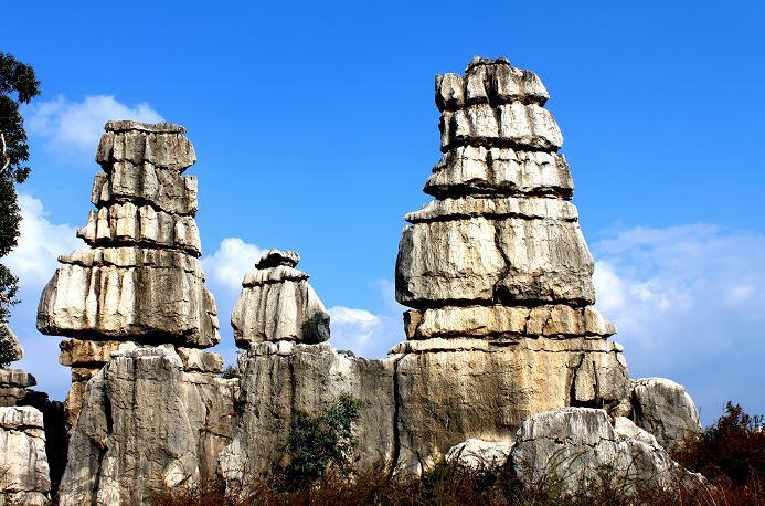 Stone forest