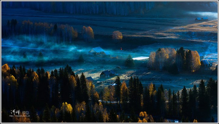 2011Сͯ-------ľ