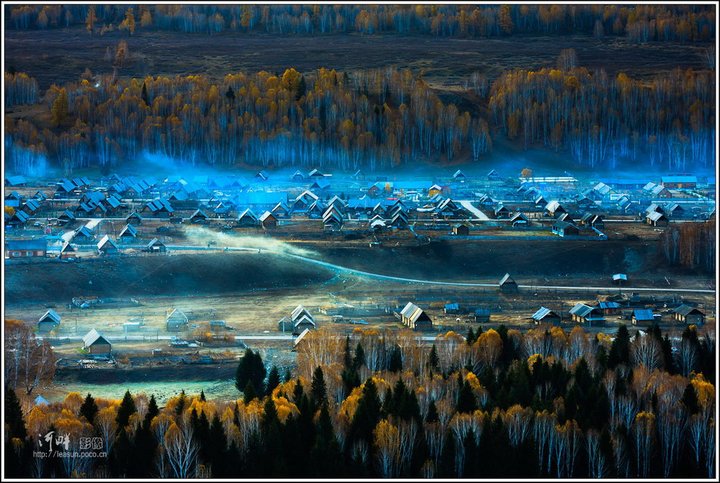 2011Сͯ-------ľ