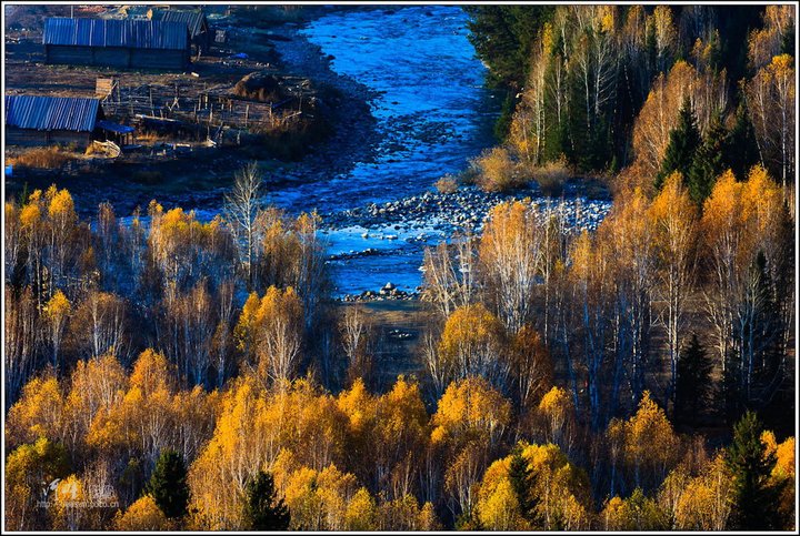 2011Сͯ-------ľ