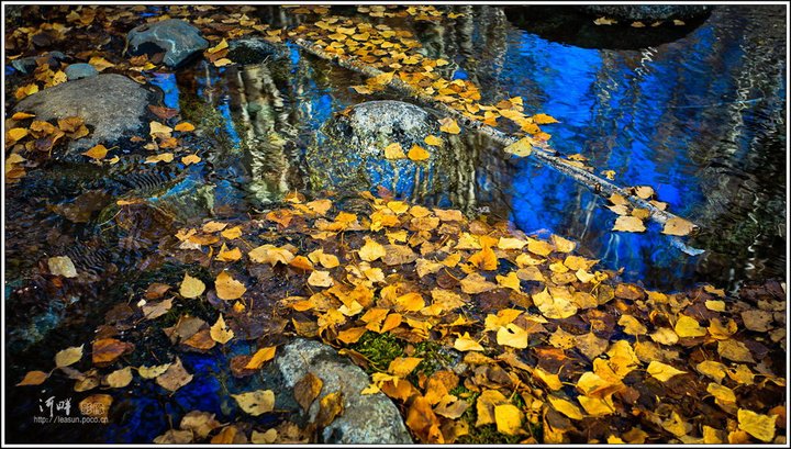 2011Сͯ-------ľ