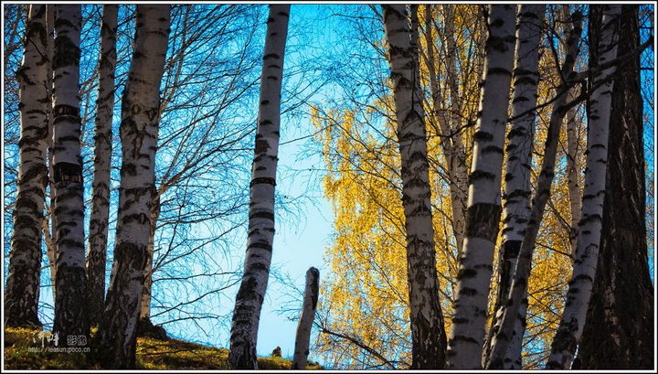 2011Сͯ-------ľ