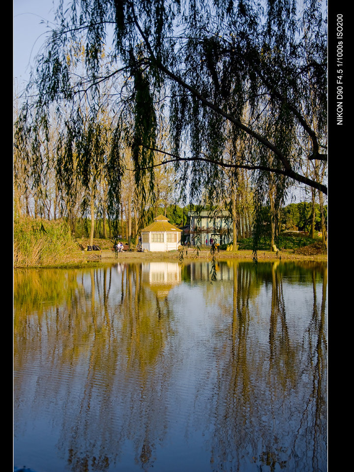 美麗的世紀公園