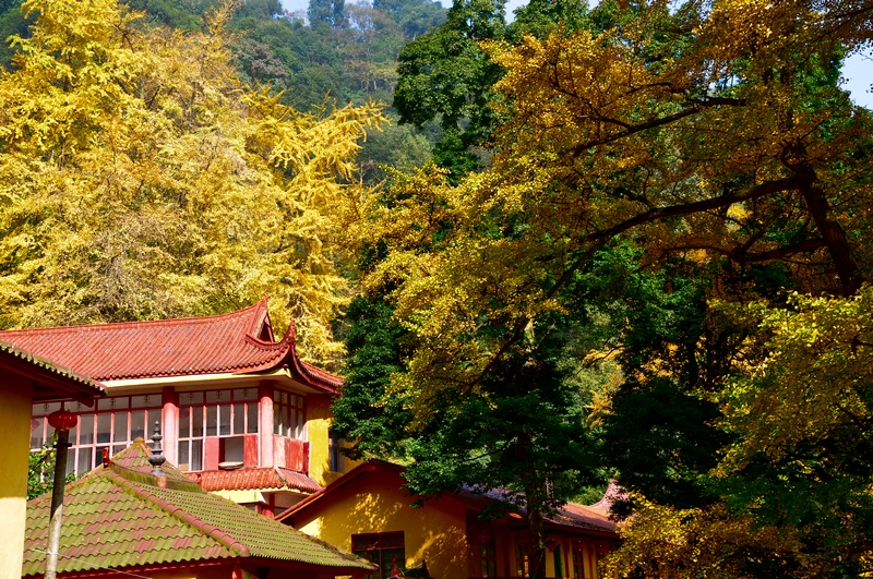 成都市大邑白岩寺风景