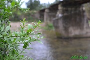 小桥流水