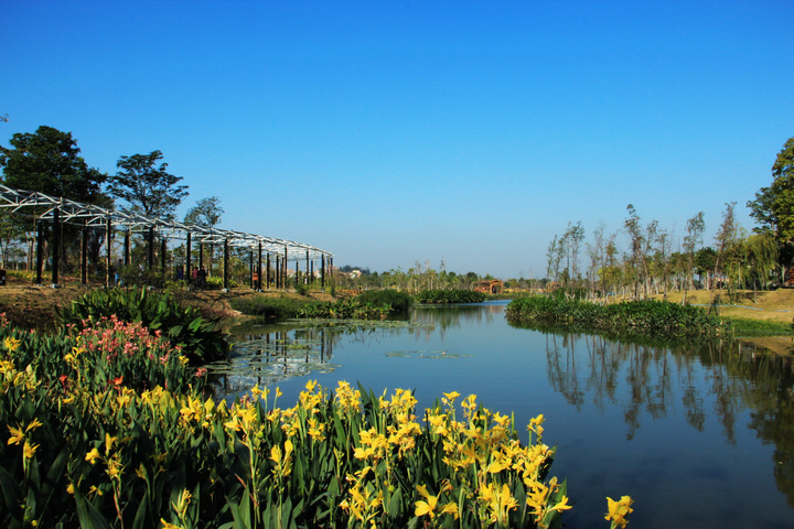 【白云湖景色摄影图片】广州白云湖公园风光摄