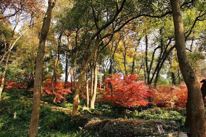 IMPRESSIVE HANGZHOU 